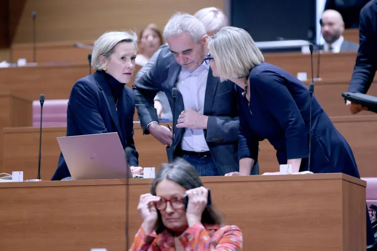 Miletić upitao Plenkovića: 'Kako ćete zaustaviti divljanje pogubljene ljevice, jugoslavenskih fašista?'