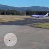 Medvjed u tranzitu: Nakon napada u naseljima, sad je upao i na aerodrom