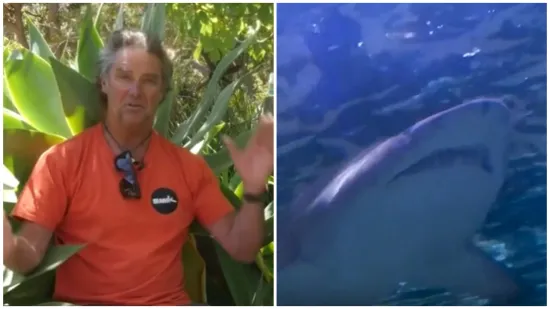 Snimljen trenutak kad je muškarca zgrabio morski pas! 'Kao da me udario vlak, a onda...'