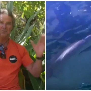 Snimljen trenutak kad je muškarca zgrabio morski pas! 'Kao da me udario vlak, a onda...'