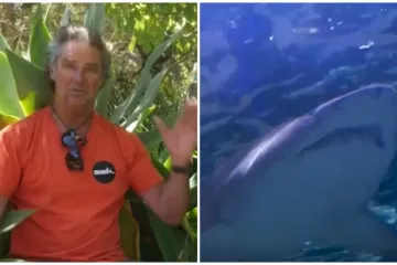 Snimljen trenutak kad je muškarca zgrabio morski pas! 'Kao da me udario vlak, a onda...'