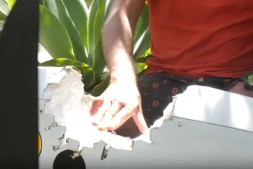 Preživio napad morskog psa pa izjavio: 'Sutra idem po novu dasku'