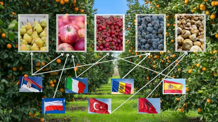 Češnjak iz Kine, tikva iz Hondurasa: Istražili koliko je sigurna hrana koju jedemo