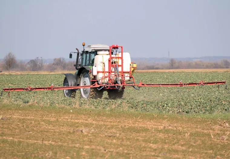 Češnjak iz Kine, tikva iz Hondurasa: Istražili koliko je sigurna hrana koju jedemo