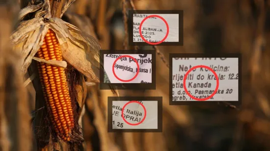 Češnjak iz Kine, tikva iz Hondurasa: Istražili koliko je sigurna hrana koju jedemo