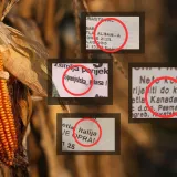 Češnjak iz Kine, tikva iz Hondurasa: Istražili koliko je sigurna hrana koju jedemo