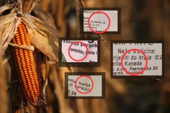 Češnjak iz Kine, tikva iz Hondurasa: Istražili koliko je sigurna hrana koju jedemo