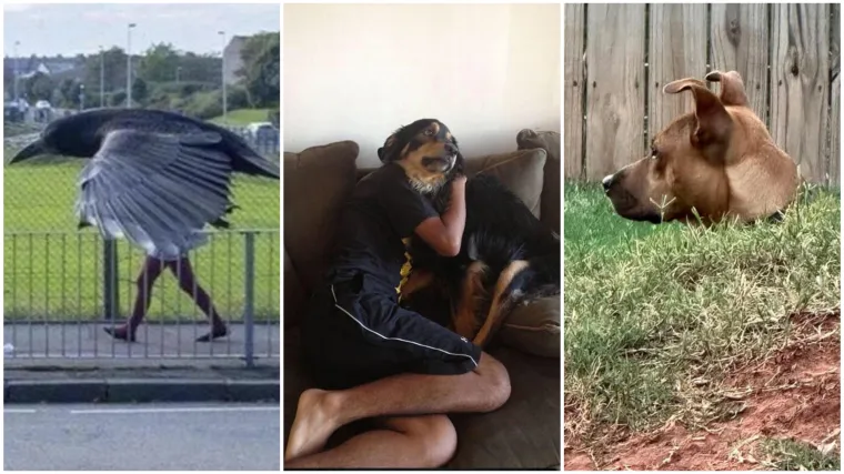 Ove fotografije će vam pomutiti pamet: Možete li shvatiti što se na njima nalazi?