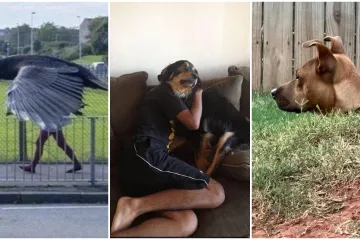 Ove fotografije će vam pomutiti pamet: Možete li shvatiti što se na njima nalazi?