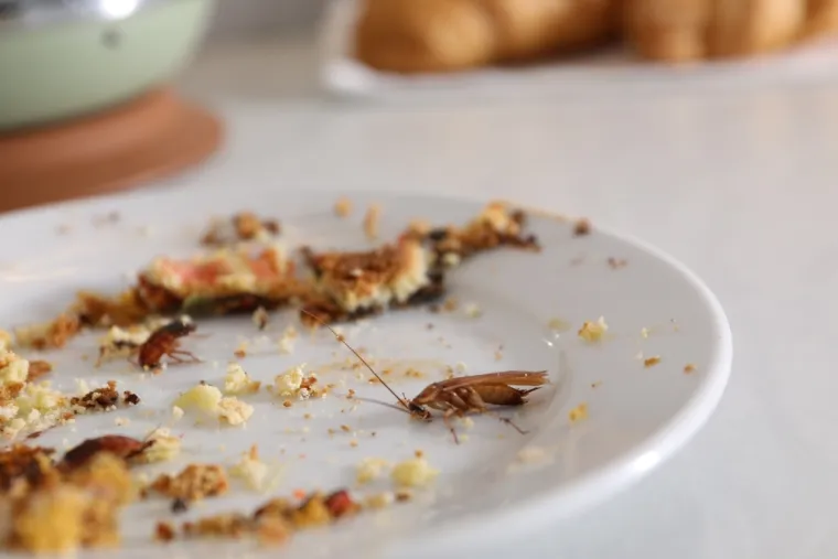 Možete se razboljeti zbog ove četiri stvari u domu: 'Evo kako ih se zauvijek riješiti'