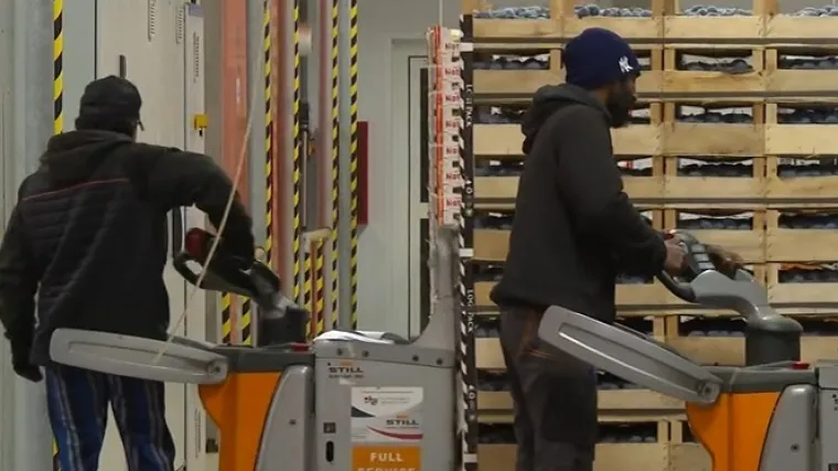 Ove godine izdano 30 tisuća manje radnih dozvola, novi Zakon sve mijenja