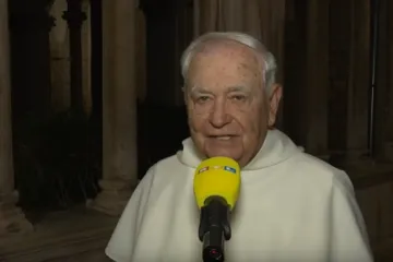 Dominikanac otkrio kako je došao do važnog otkrića o hrvatskom jeziku: 'Ovome se nismo nadali...'