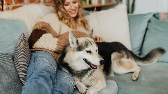 Pas vam ovim znakovima daje do znanja da ste za njega najbolja osoba na svijetu