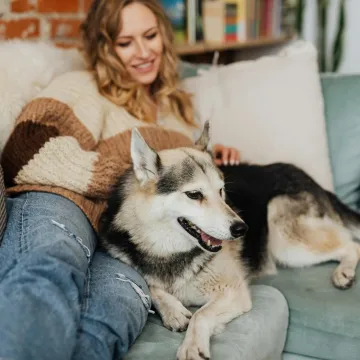Pas vam ovim znakovima daje do znanja da ste za njega najbolja osoba na svijetu