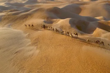 [KVIZ] Samo će genijalci znati sve točne odgovore na pitanjima o pustinjama