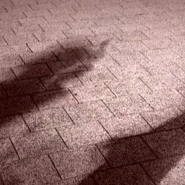 U zagrebačkoj školi pretučen učenik, drugi snimali i navijali...