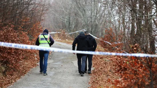 Zavr&scaron;en očevid pada Air Tractora: Obavljen razgovor s kolegom poginulog pilota