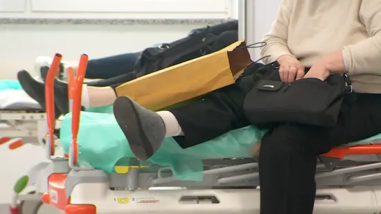 Hrvatska ima ogroman problem, sustav je opterećen: 'Vrijeme je za hitne korake!'