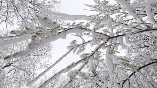 Zbogom južini, vadite zimske kapute! Meteorologinja otkrila gdje će pasti prve pahulje