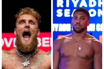 Ovo nije AI simulacija! U prosincu nas čeka boksački spektakl o kojem su mnogi sanjali