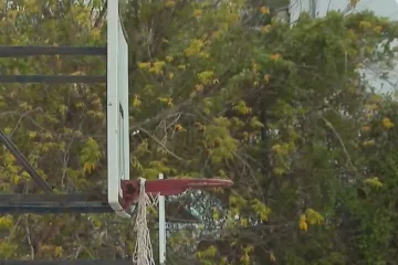 Nakon makljaže školaraca u Splitu, stručnjaci upozoravaju o opasnim detaljima