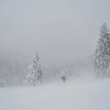 Snježna oluja ubila pet turista u Čileu: Vjetrovi puhali 193 km/h