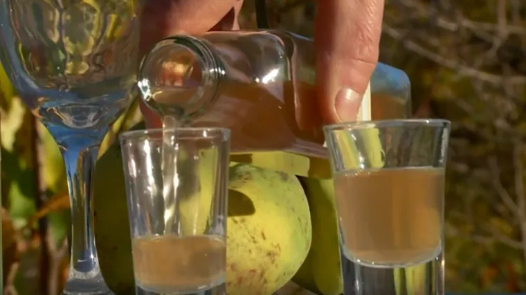 Hrvati popiju 50.000 litara žestice dnevno! A znate li što najviše 'ide'? 'Takva smo nacija'