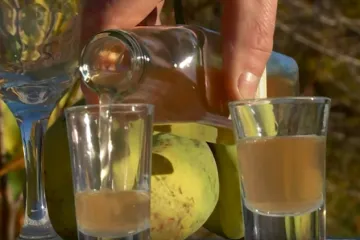 Hrvati popiju 50.000 litara žestice dnevno! A znate li što najviše 'ide'? 'Takva smo nacija'