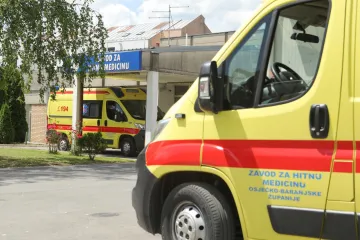 Tragedija u šumi kraj Čazme: Poginuo radnik Hrvatskih šuma, drvo se srušilo na njega