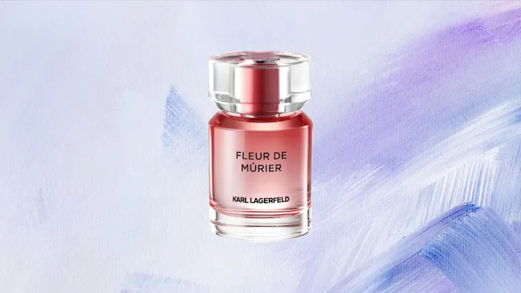 dm ima najbolje mirise: Koji će dominirati ove zime? Ovo je naših top 10