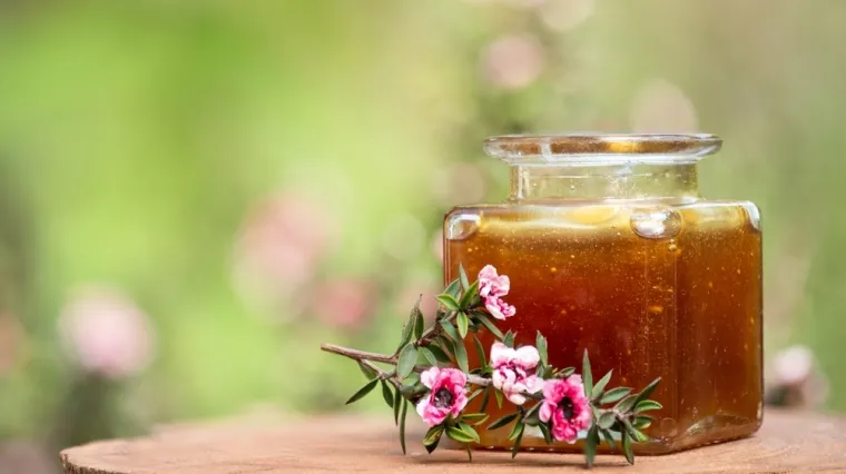 Nutricionistica: 'Zamijenite šećer ovom namirnicom i zaboravite na pad energije'