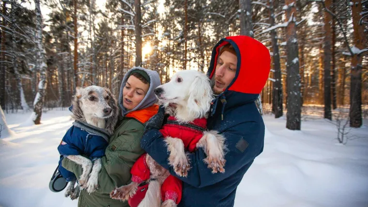 Stručnjaci za ljubimce savjetuju: Zaštitite pse u zimskim uvjetima