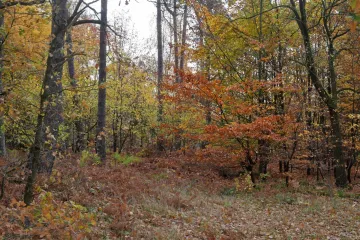 Tijelo žene pronađeno na popularnoj stazi: Nitko ne zna što se dogodilo