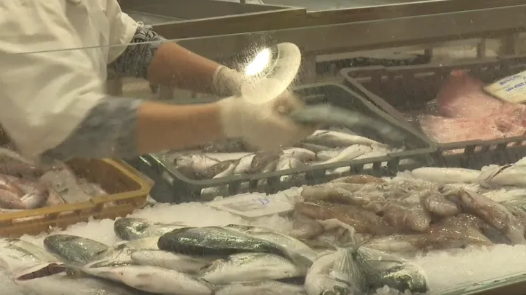 U Zadru u ribarnicama educiraju ljude: 'Prosječan Dalmatinac malo zna o ribama'