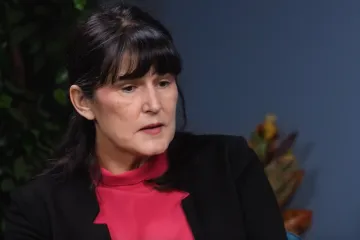 Stručnjakinja za maloljetničku delinkvenciju: 'Oni se vole vidjeti s kapuljačama u medijima'