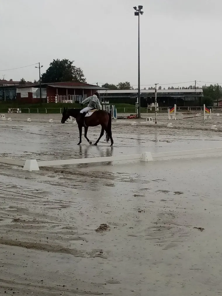 Konjički savez objavio fotografije poplavljenog Hipodroma: 'Tereni su kao Titanik koji tone'