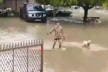 Bujica odnosi aute, tone blata blokiralo policiju: Snažno nevrijeme pokrenulo klizišta!