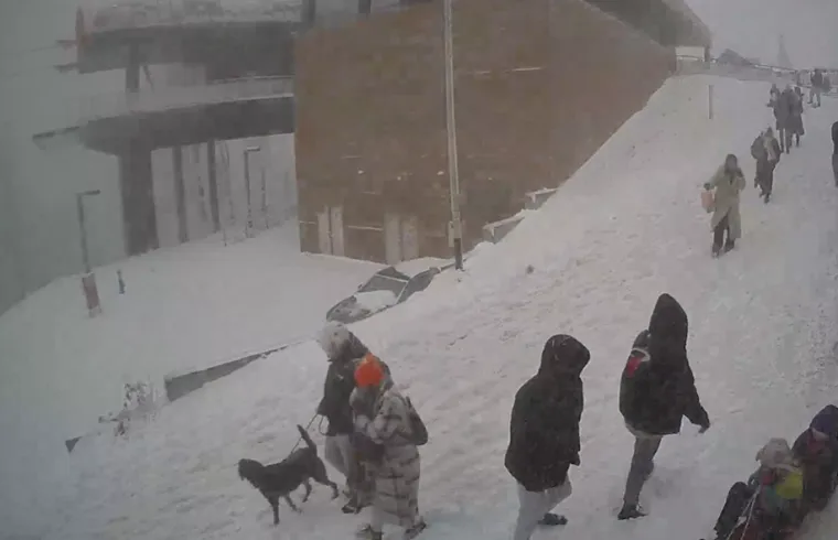 Snijeg i olujni vjetar uzrokovali kaos: Odsječene ceste, padaju stabla, kamper na boku