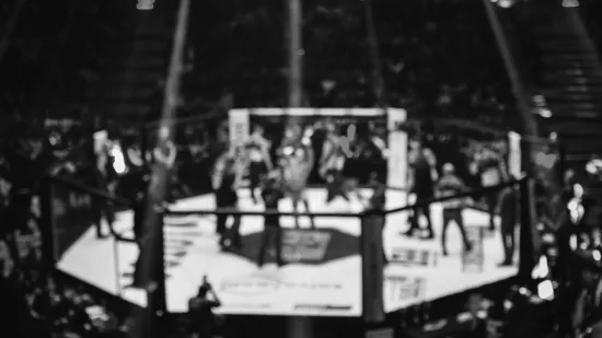 Tragedija: MMA borac se srušio za vrijeme borbe i preminuo