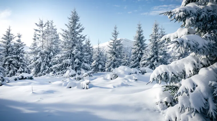 [KVIZ] Koliko znaš o snijegu?