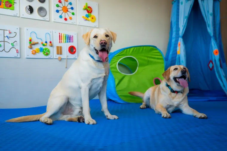 Andrija Jarak podržao projekt educiranja pasa vodiča za pomoć djeci s teškoćama u razvoju