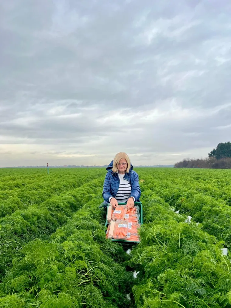 Kako najbolja mrkvica uvijek završi u Kauflandu?