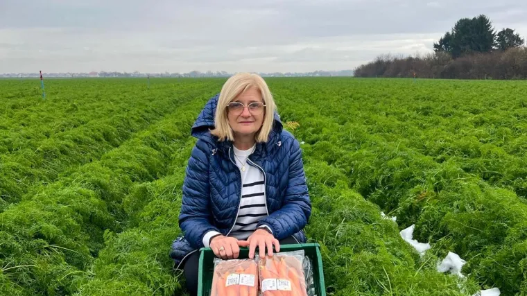 Kako najbolja mrkvica uvijek završi u Kauflandu?