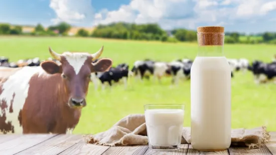 [KVIZ] Kakvo je tvoje znanje o mlijeku ovih životinja?