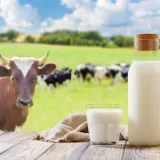 [KVIZ] Kakvo je tvoje znanje o mlijeku ovih životinja?