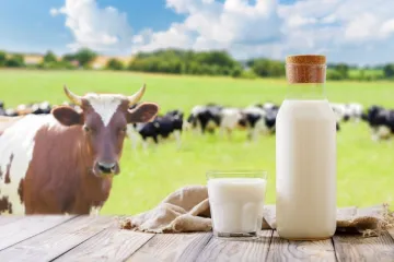 [KVIZ] Kakvo je tvoje znanje o mlijeku ovih životinja?