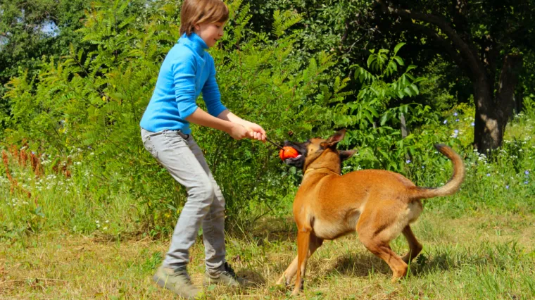 Stručnjak upozorava: Ove tri pasmine nikako nisu prikladne za obitelji s malom djecom