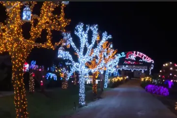 Jeste li spremni za 5,6 milijuna lampica? Evo što vas sve čeka na imanju Salaj