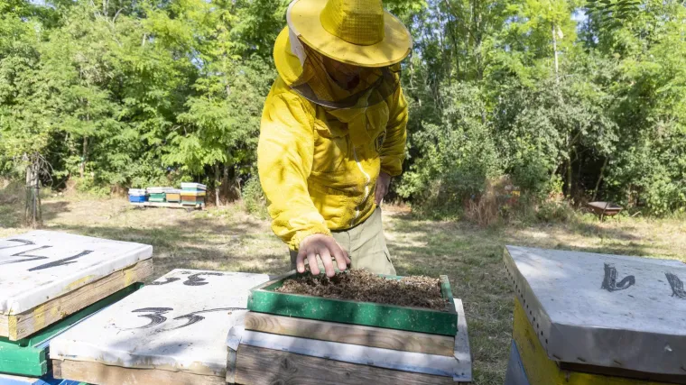 Pčelari bijesni zbog poteza Plenkovića: 'Hrvatsko tržište će preplaviti lažni uvozni med!'