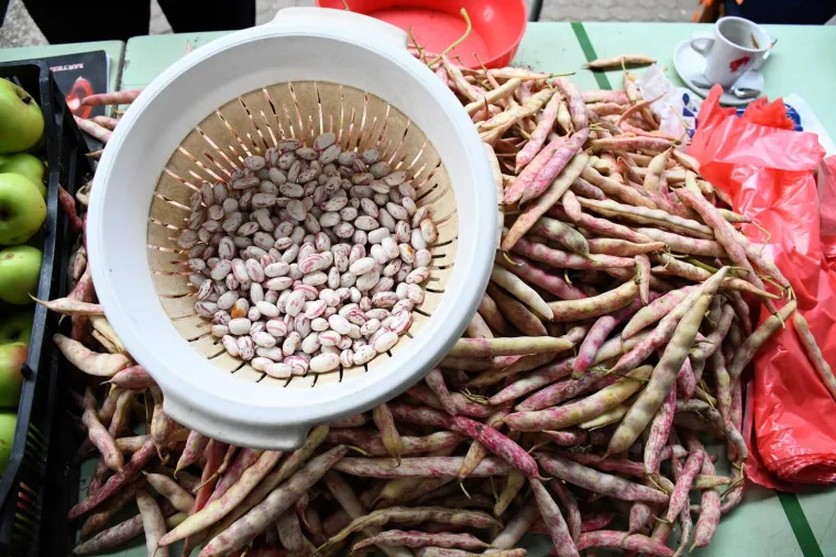 Kralj zime i žlice: Tri recepta za savr&scaron;eni grah koji ćete obožavati jesti danima!